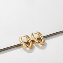 Load image into Gallery viewer, Sculpted Hoops Earring