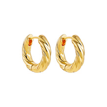 Load image into Gallery viewer, Twisted Huggie Earring