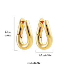 Load image into Gallery viewer, Sculpted Hoops Earring
