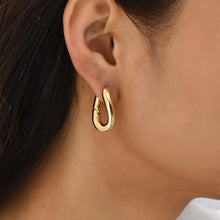 Load image into Gallery viewer, Sculpted Hoops Earring