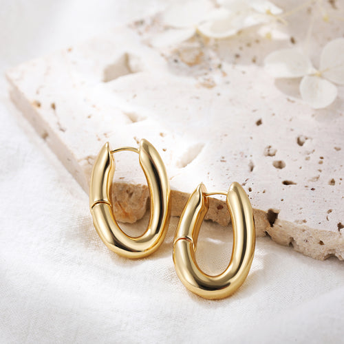 Sculpted Hoops Earring
