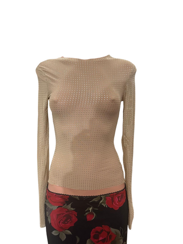 Y2K Rhine Skin Mesh Top