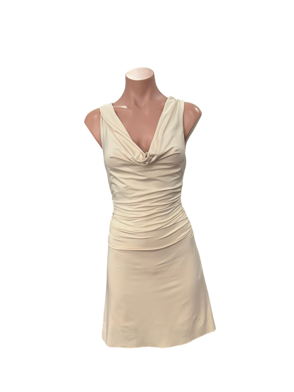 Fan Mini Dress
